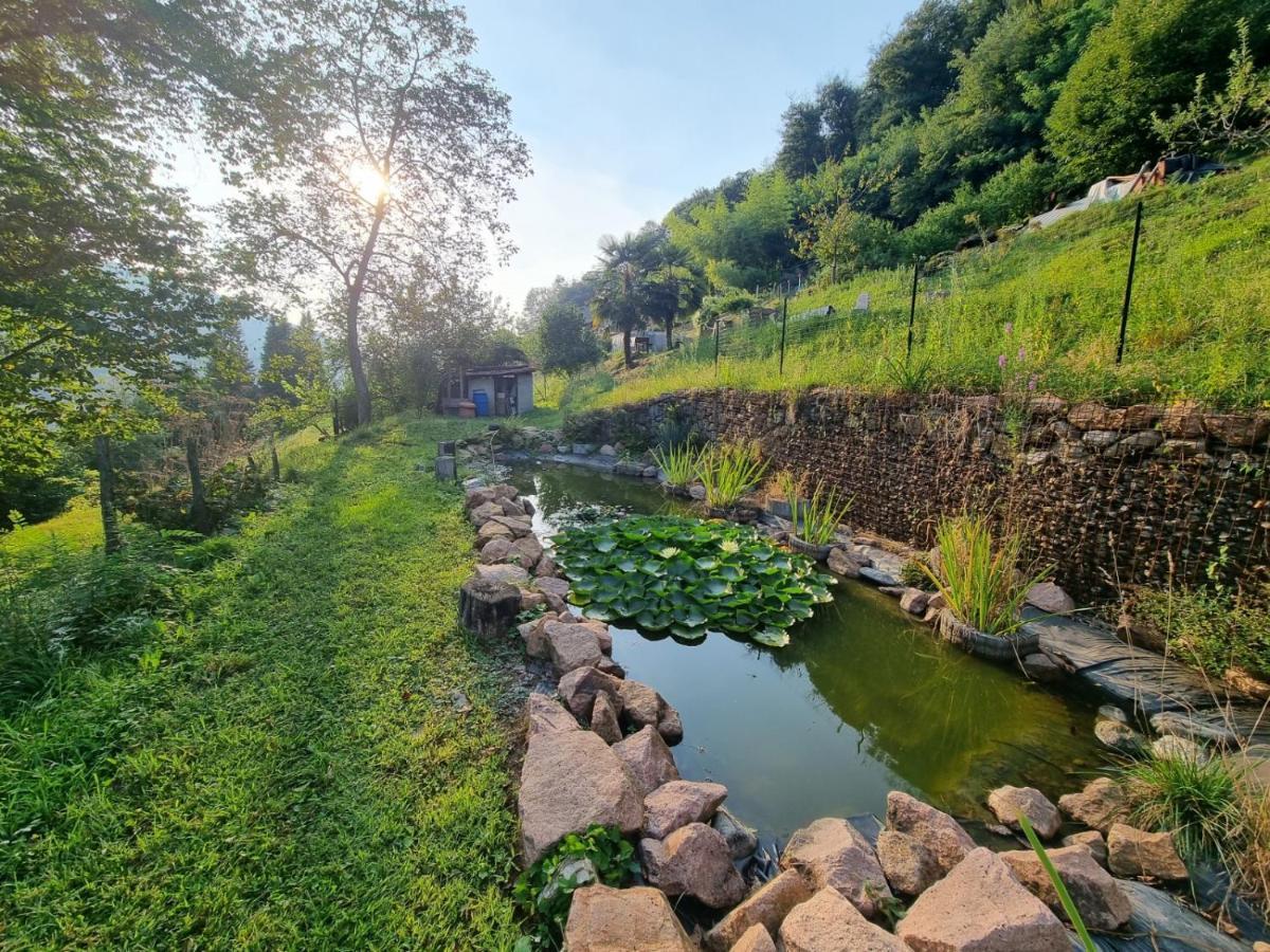 La Nave B&B Monteggio ภายนอก รูปภาพ