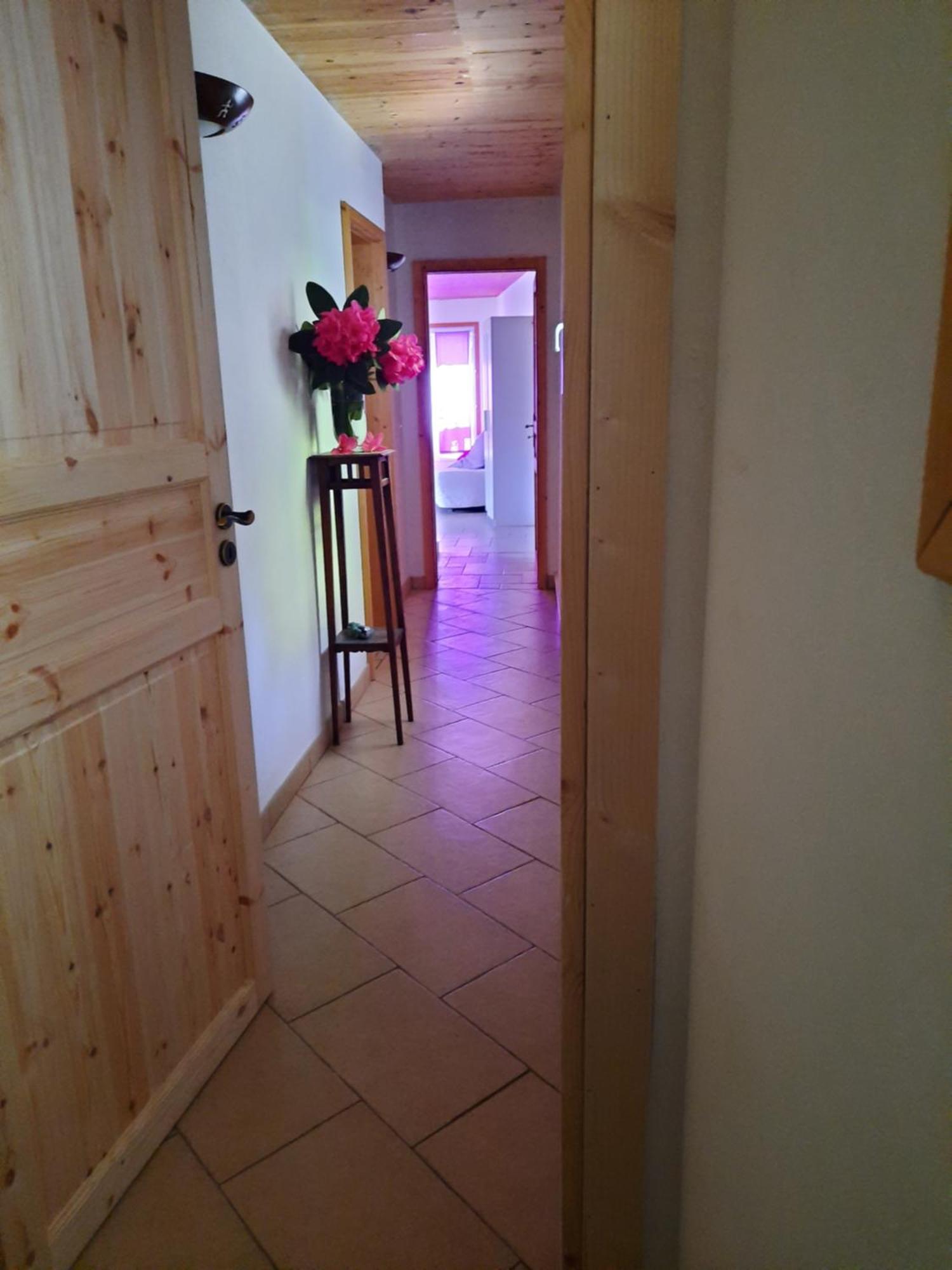 La Nave B&B Monteggio ภายนอก รูปภาพ