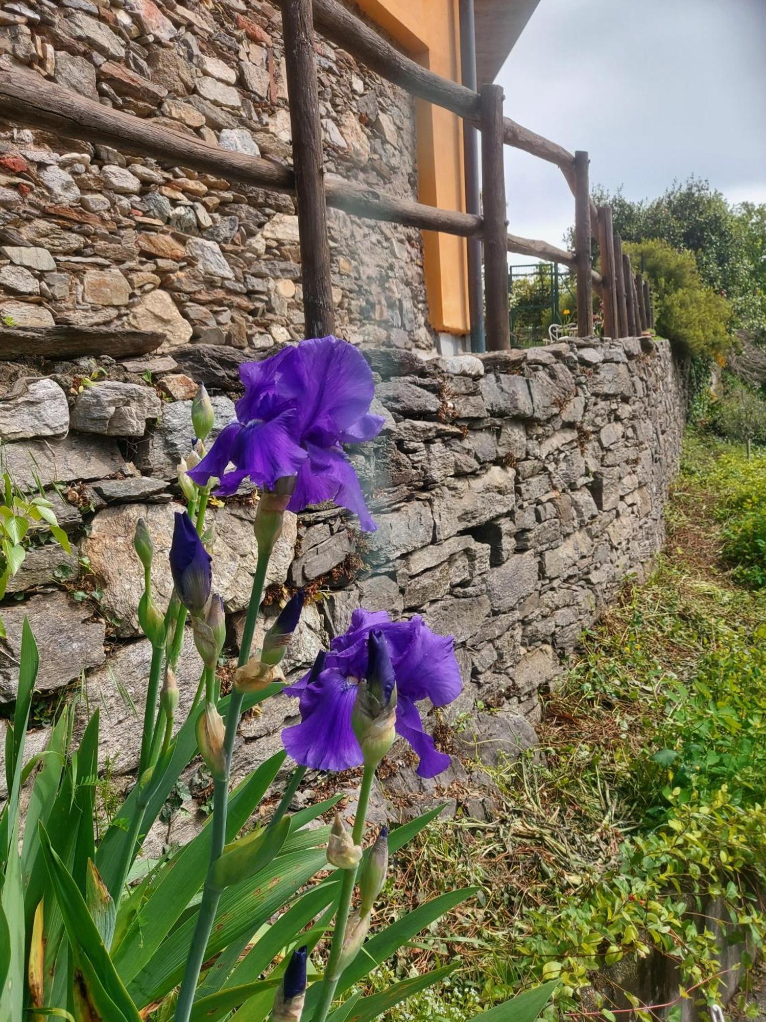 La Nave B&B Monteggio ภายนอก รูปภาพ